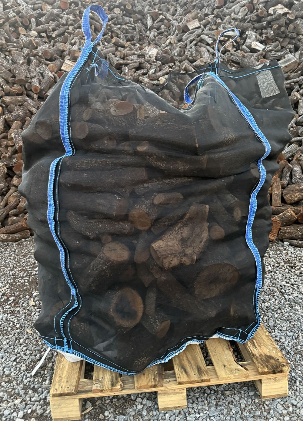Leña de Haya – Saca 1,6 m³ sobre Palet